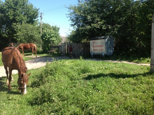 У Луцькому районі стартувала програма «Чисте село». ФОТО*